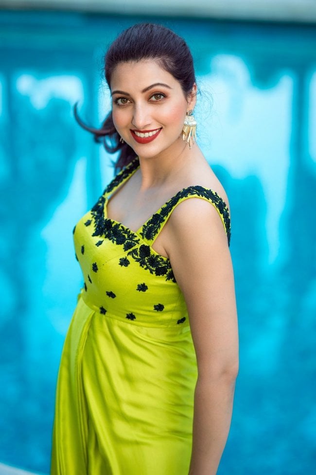 Hamsa-Nandini